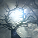 Shadow and Bone arrives tomorrow.